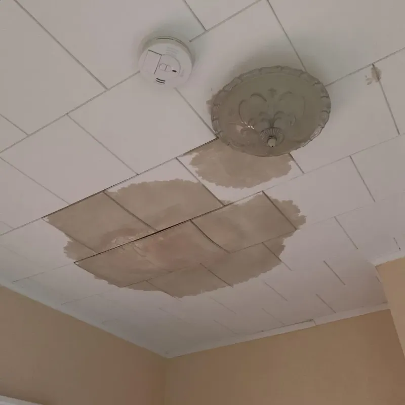 Ceiling Water Damage Repair in Cando, ND
