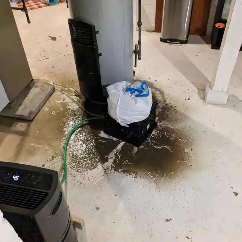 Sewage Backup Cleanup Service in Cando, ND
